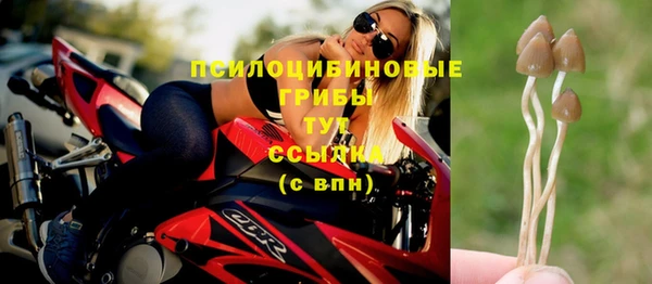 прущий лед Карпинск
