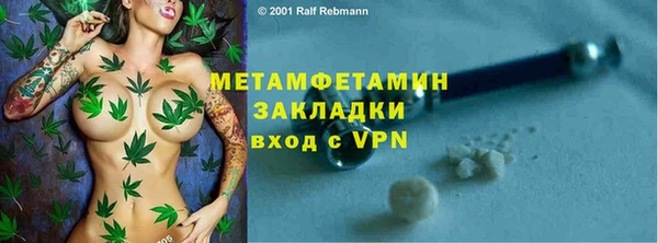 шишки Каменногорск