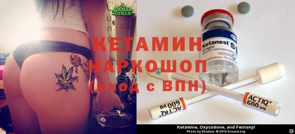 шишки Каменногорск