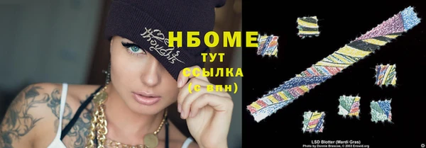 шишки Каменногорск
