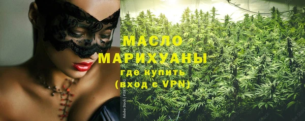 шишки Каменногорск