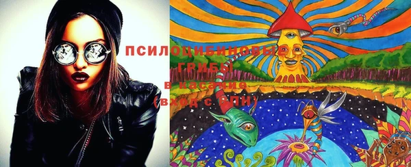 шишки Каменногорск