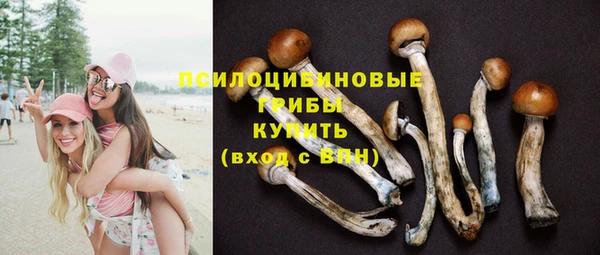 каннабис Каменка