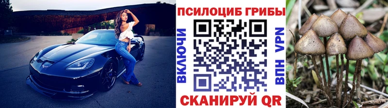 Галлюциногенные грибы мухоморы  Карасук 